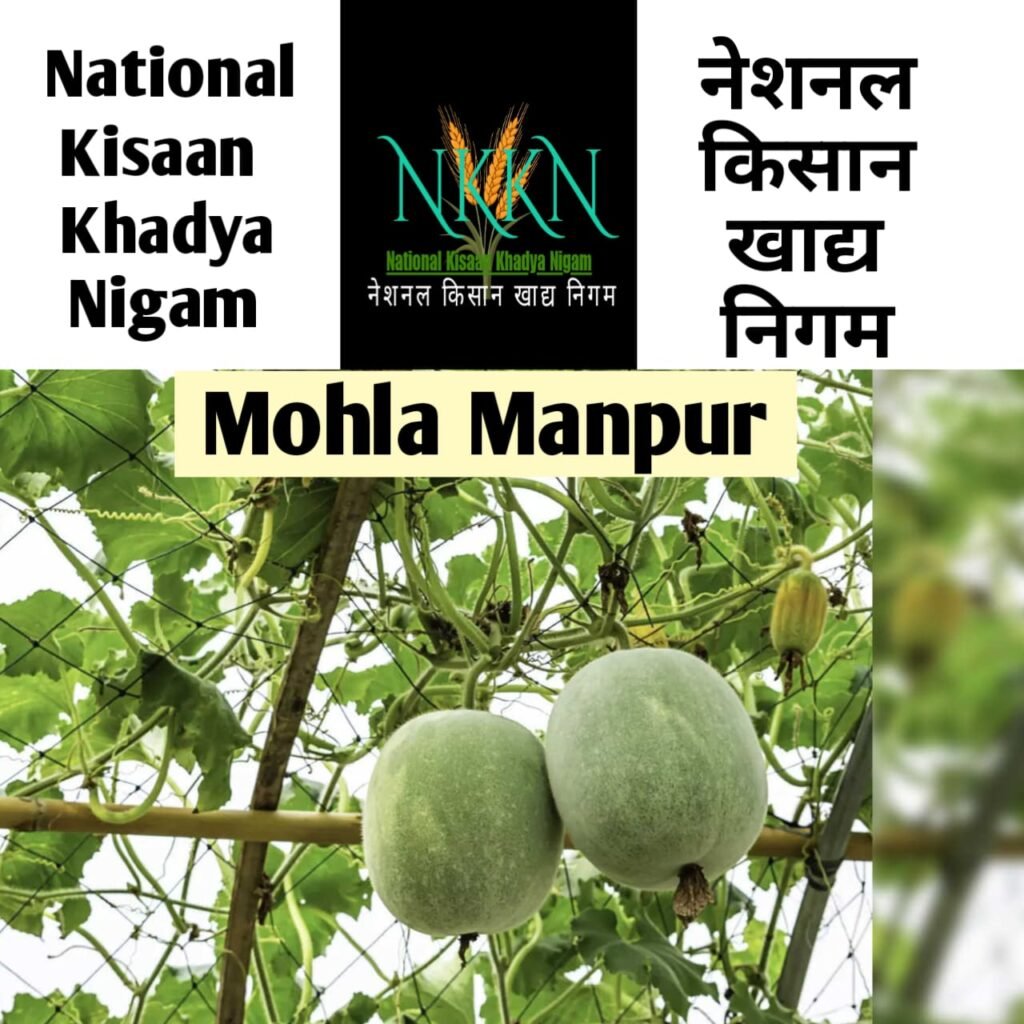 NKKN: National Kisaan Khadya Nigam Processing Unit in Mohla-Manpur- Ambagarh Chowki District CHHATTISGARH