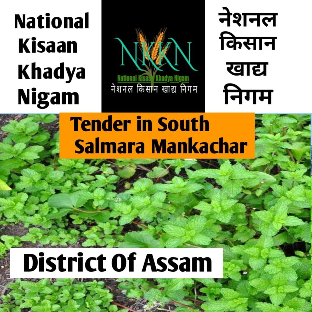 Tender in National Kisaan Khadya Nigam